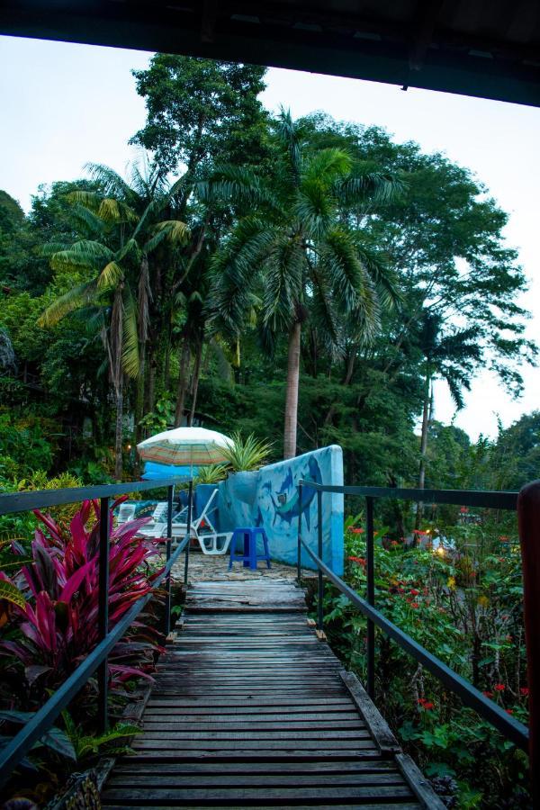 Hostel Plinio Manuel Antonio Bagian luar foto