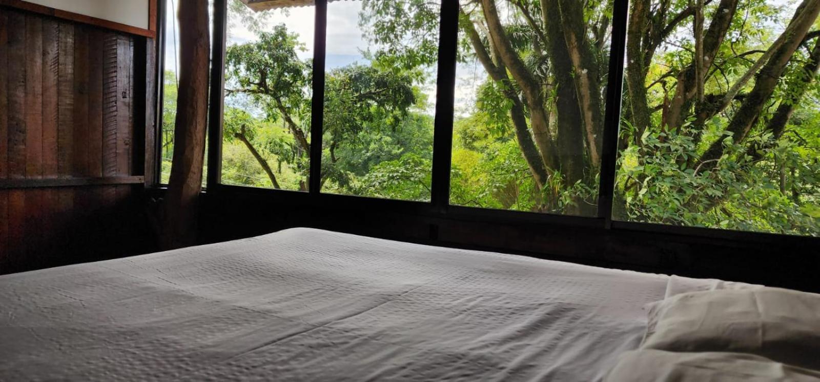 Hostel Plinio Manuel Antonio Bagian luar foto